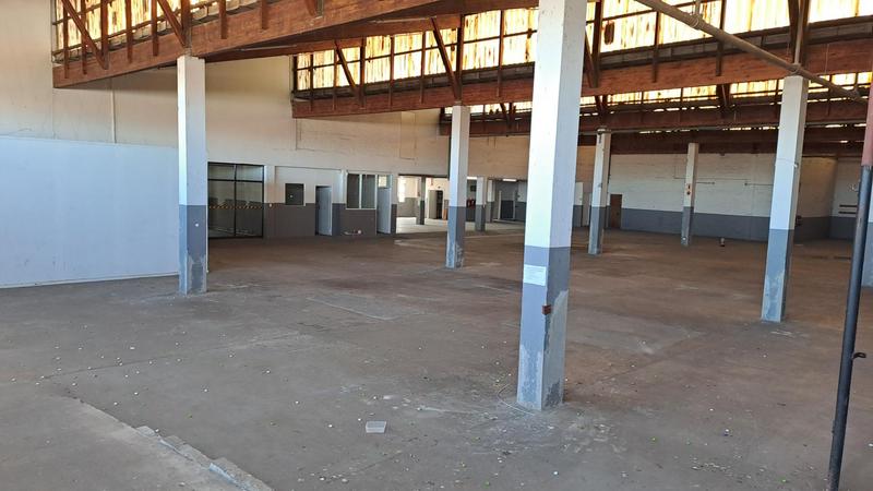 To Let commercial Property for Rent in Ferguson Eastern Cape